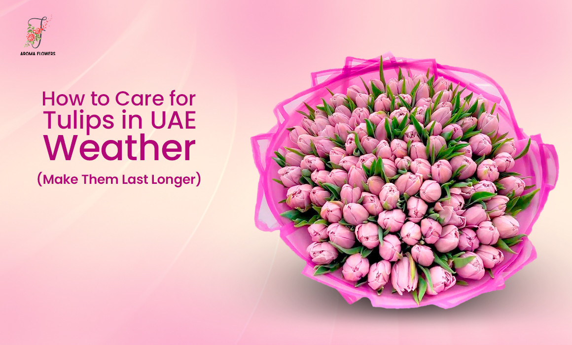 How to Care for Tulips in UAE Weather (Make Them Last Longer)
