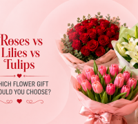 Roses vs Lilies vs Tulips: Which Flower Gift Should You Choose?