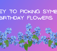 The Ultimate Guide to Choosing Birthday Flowers Meaning and Symbolism