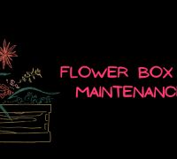 Flower Box Care and Maintenance Tips