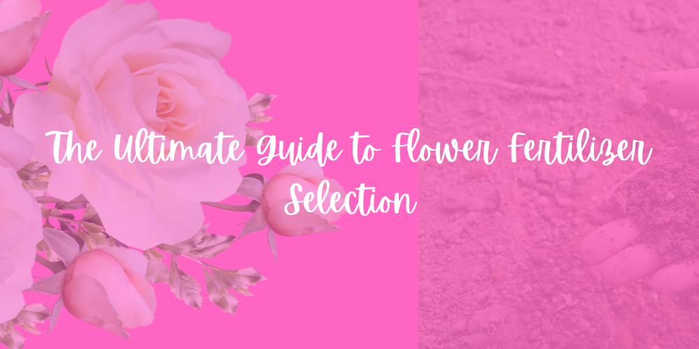 The Ultimate Guide to Flower Fertilizer Selection