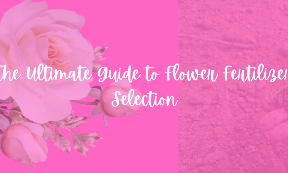The Ultimate Guide to Flower Fertilizer Selection