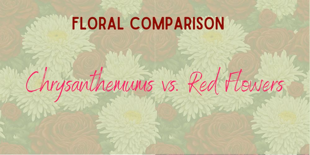 Chrysanthemums vs. Red Flowers: A Floral Comparison