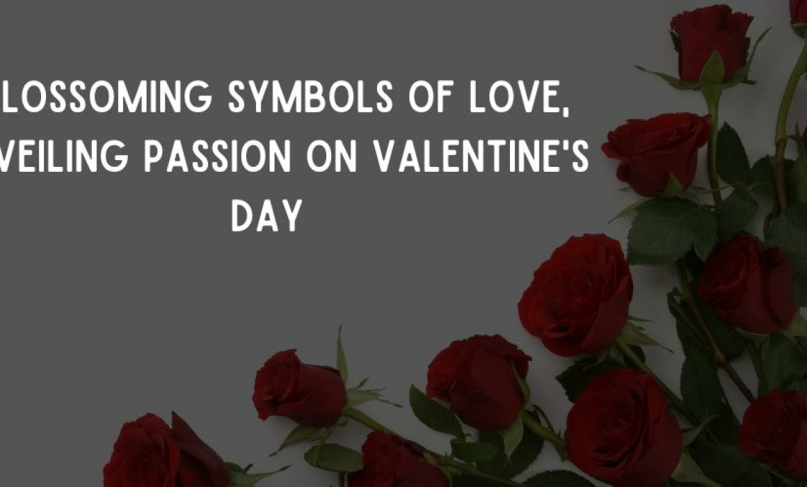Red Roses: Blossoming Symbols of Love, Unveiling Passion on Valentine's Day
