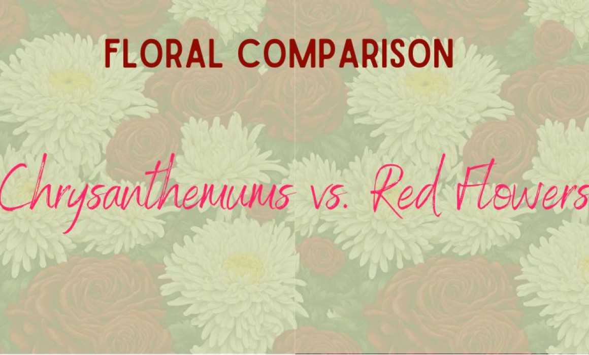 Chrysanthemums vs. Red Flowers: A Floral Comparison