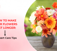 How to Make Your Flowers Last Longer: Expert Care Tips 