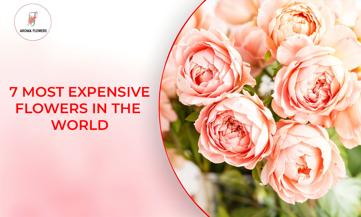 7 Most Expensive Flowers in the World