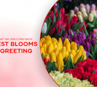 Flowers That Say Welcome Back: The Best Blooms for Greeting