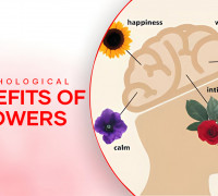 Psychological Benefits of Flowers – How They Instantly Boost Happiness