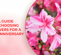 A Guide to Choosing Flowers for a 10th Anniversary