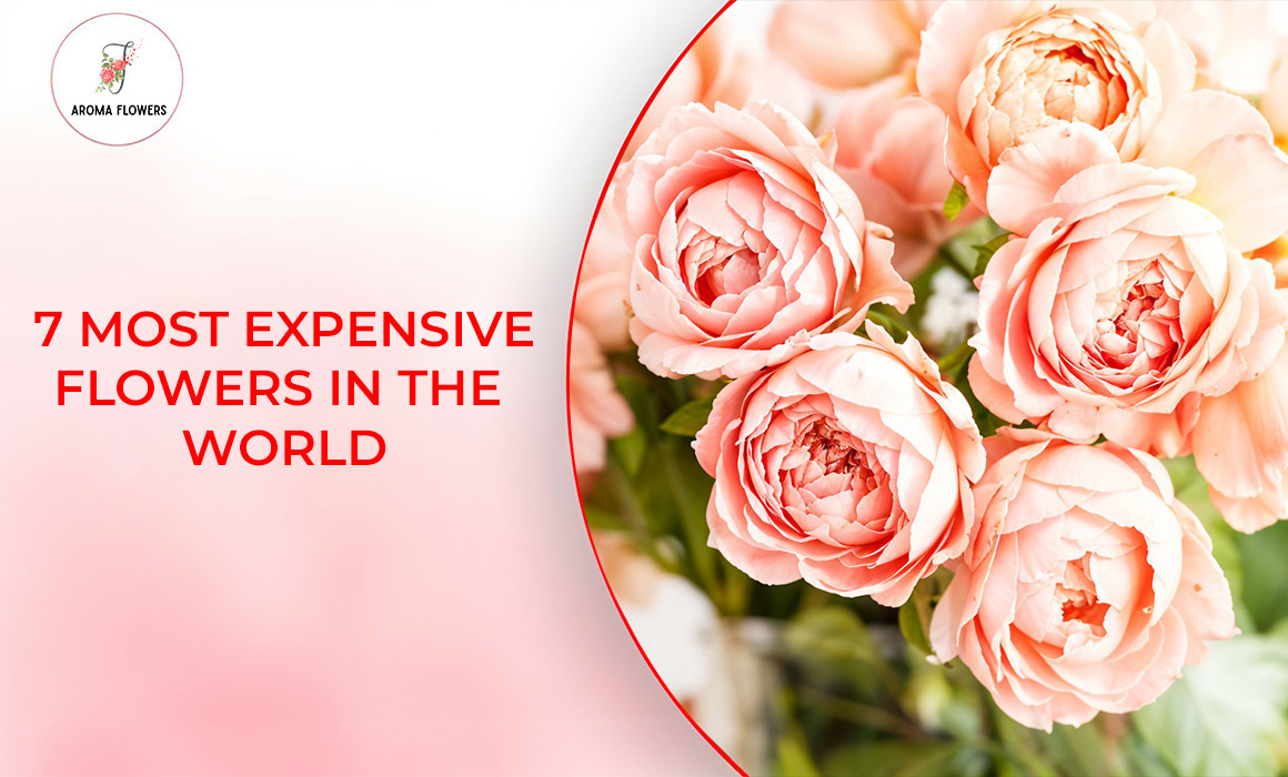 7 Most Expensive Flowers in the World