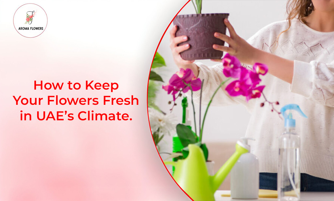 How to Keep Your Flowers Fresh in UAE’s Climate