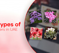Types of Flowers: A Comprehensive Guide to 87 Beautiful Varieties